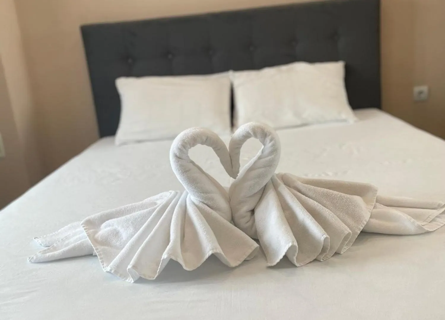 Diana Residence Sofya Bulgaristan